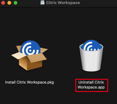 Displaying Uninstall Citrix Workspace app option