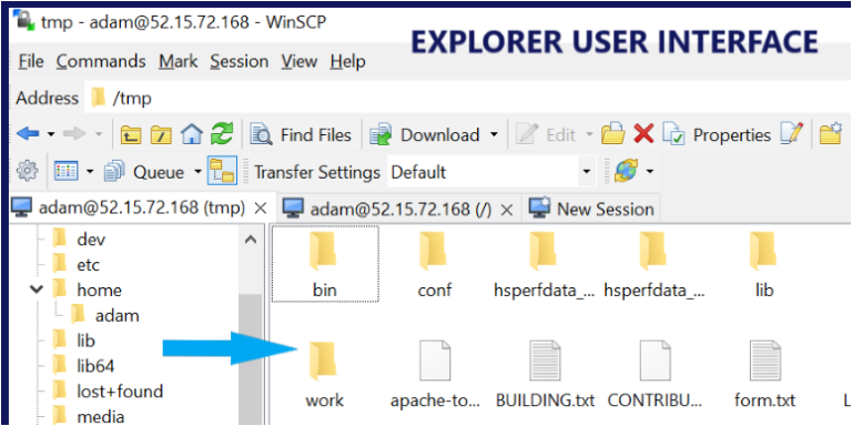 The WinSCP GUI: The Ultimate Guide