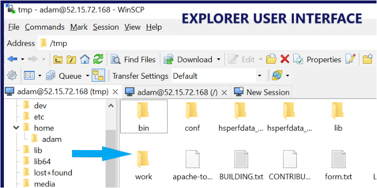 winscp port