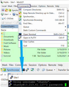 download winscp command