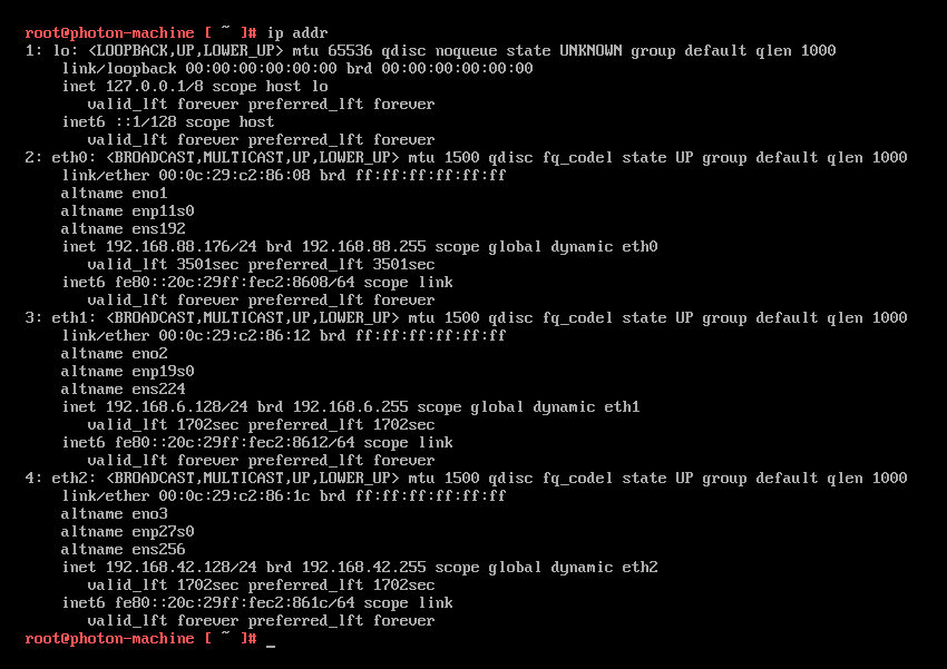 Showing the Ip Address information.