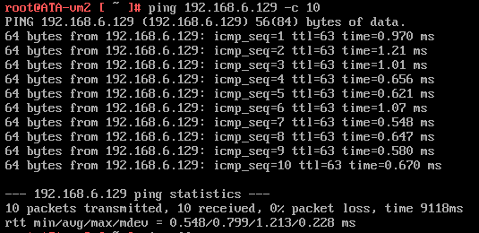 Successful Ping, no packet loss. 