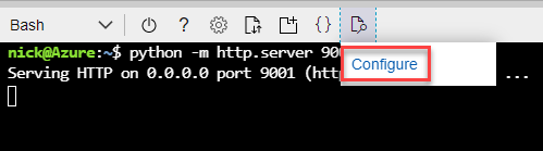 Configure port for web server