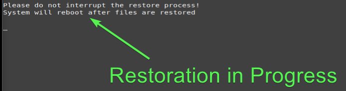 Restoring files