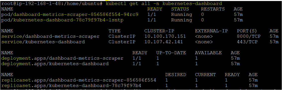 Checking all the resources inside the Kubernetes dashboard