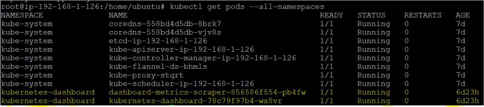 Using the kubectl get pods command