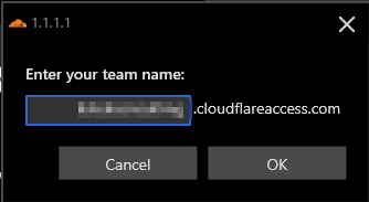 Entering the team name for registration.