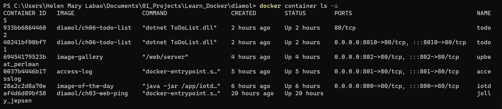 Listing Docker Containers After Removing Stray Containers