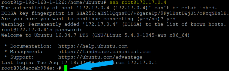 docker inspect format docker inspect format