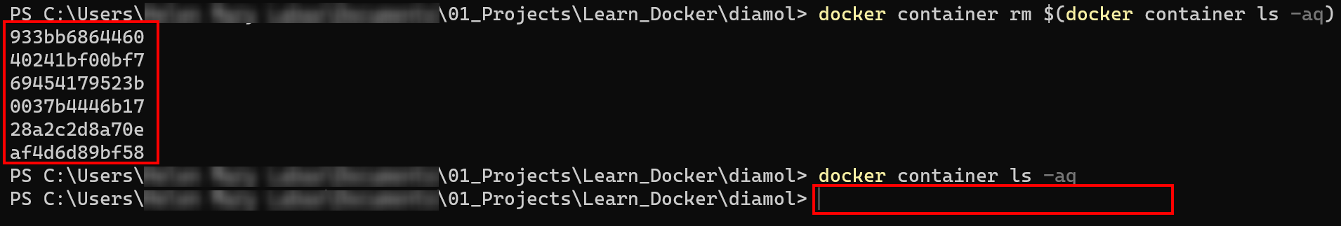 Removing Both Stopped and Running Containers