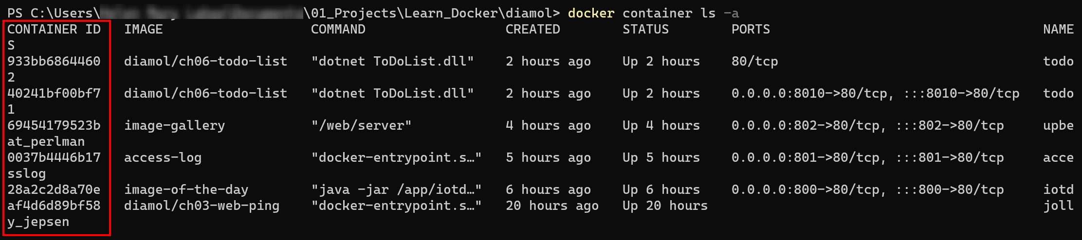 Listing Docker Images to get the Container ID
