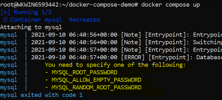 MySQL will throw an error if the environment variables are missing