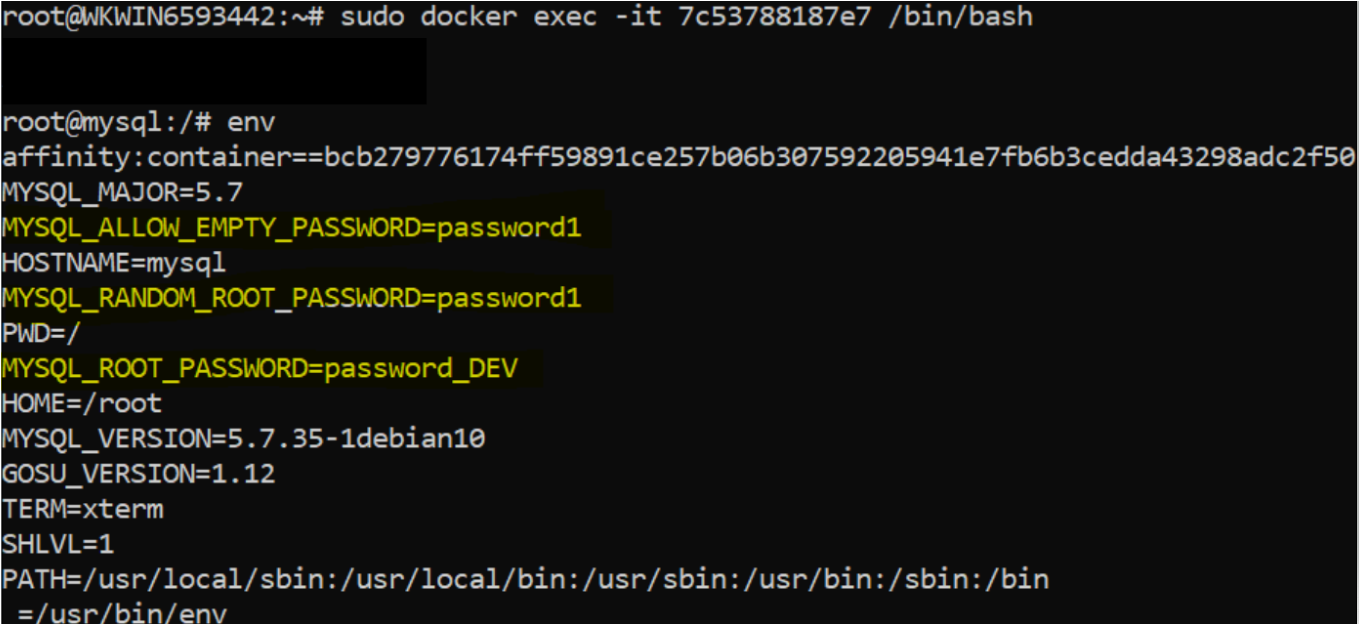 Logging into the container using the docker exec command with the .env.dev file