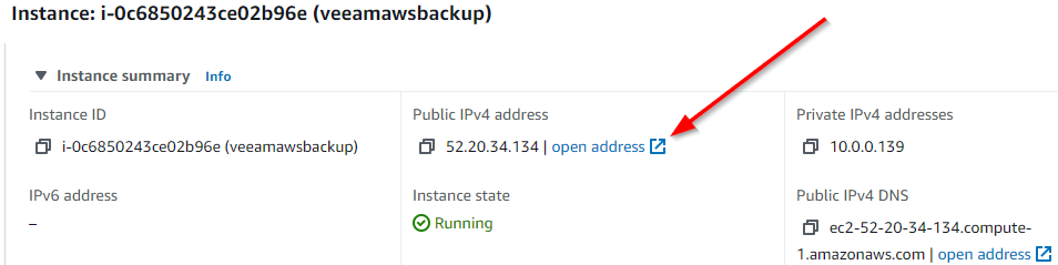 Noting the public IP address and instance ID