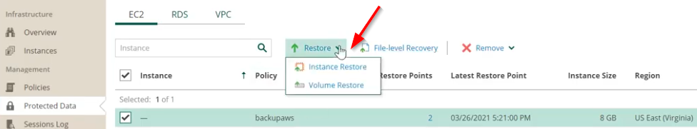 Selecting an instance to restore files from