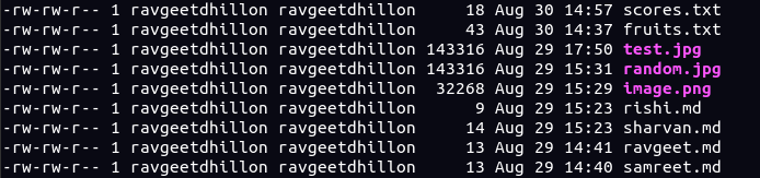 Sorting Files in a Directory by Modification Time