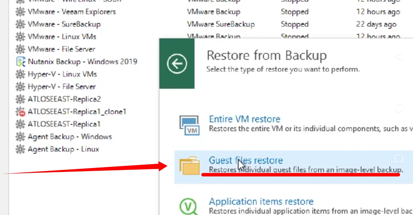 Selecting the Option to Restore Guest Files