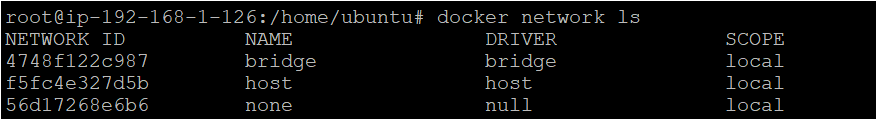 Listing the Docker network