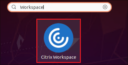 Accessing the Citrix Workspace application.