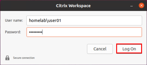 Logging in to the Citrix Workspace application. 