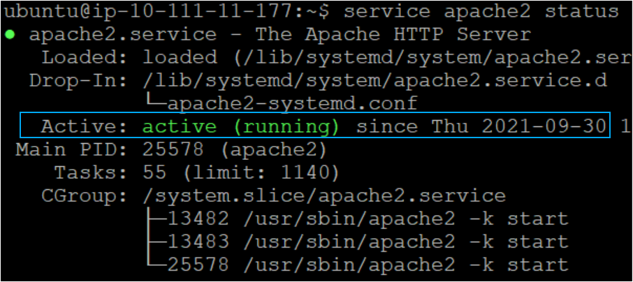 Verifying the Apache service on the remote node