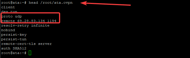 Opening an OpenVPN config file, the above example is for NordVPN.