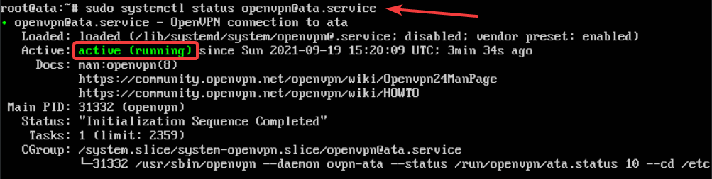 Checking the OpenVPN service status.