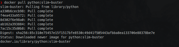 Pulling a newer Python image from DockerHub registry.