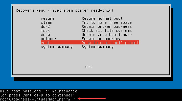 Booting into the root shell prompt