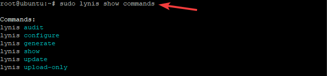 Showing all Lynis' command