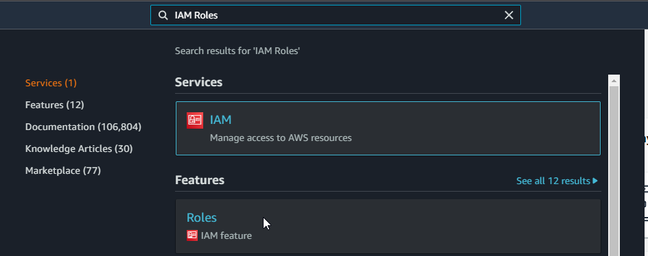 Opening the IAM Roles section