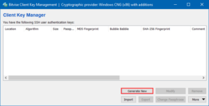 How to Set up a Bitvise SSH Server [Step-by-Step]