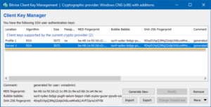 bitvise ssh client graphical mode bitvise ssh client graphical mode