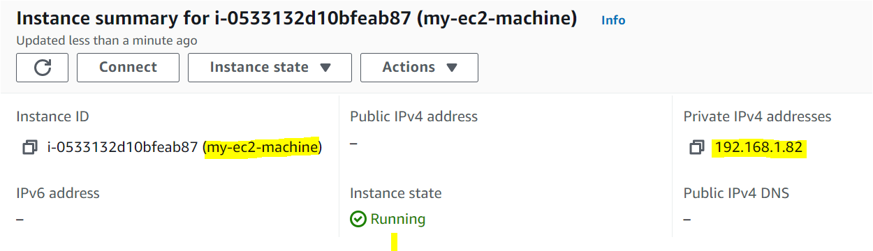 Verifying EC2 Instance's IP Address