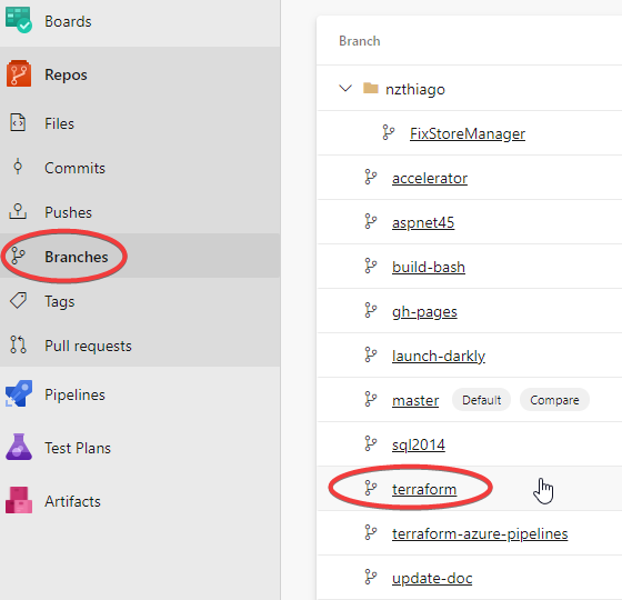 Navigating to the 'terraform' branch