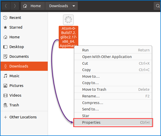 Opening the AppImage file properties