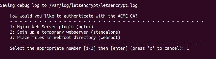 Selecting Plugin to Authenticate with ACME CA 