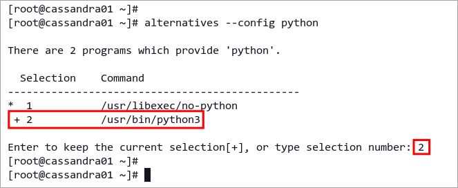 Choosing the default Python interpreter