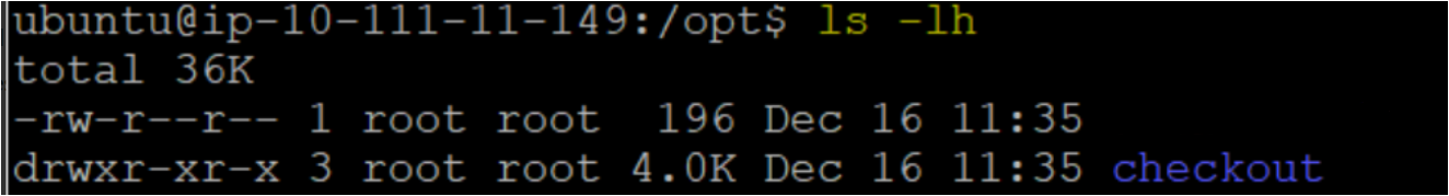 Confirms if the repository is checked out successfully in the opt directory in the remote node