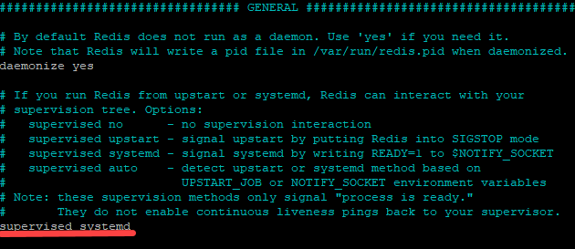 Setting up the systemd directive