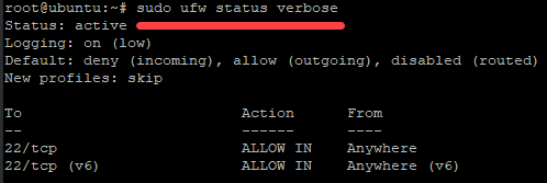 Checking verbose UFW firewall status 