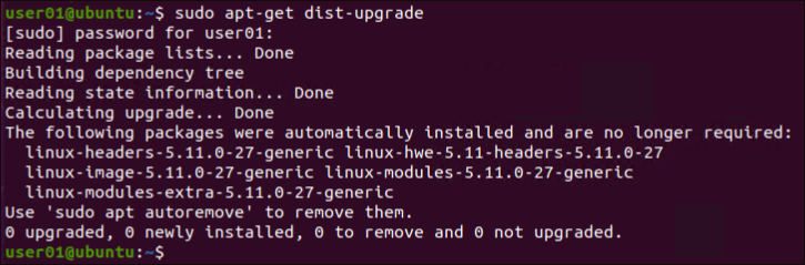 Upgrading a Linux Distribution