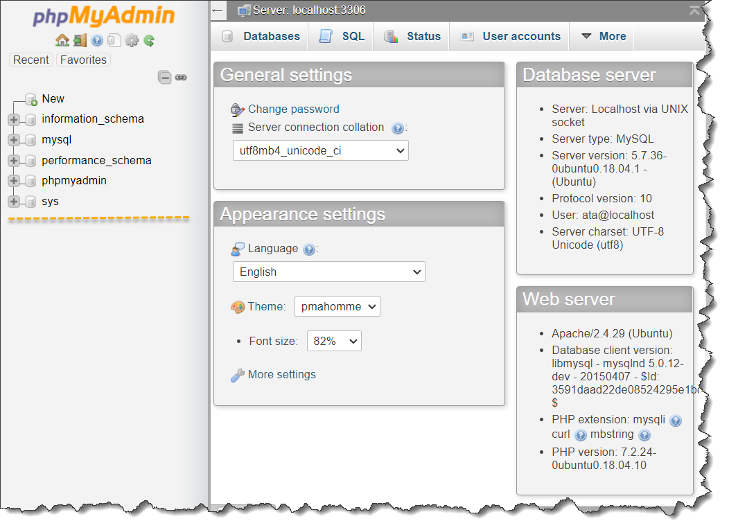 The phpMyAdmin portal after installation