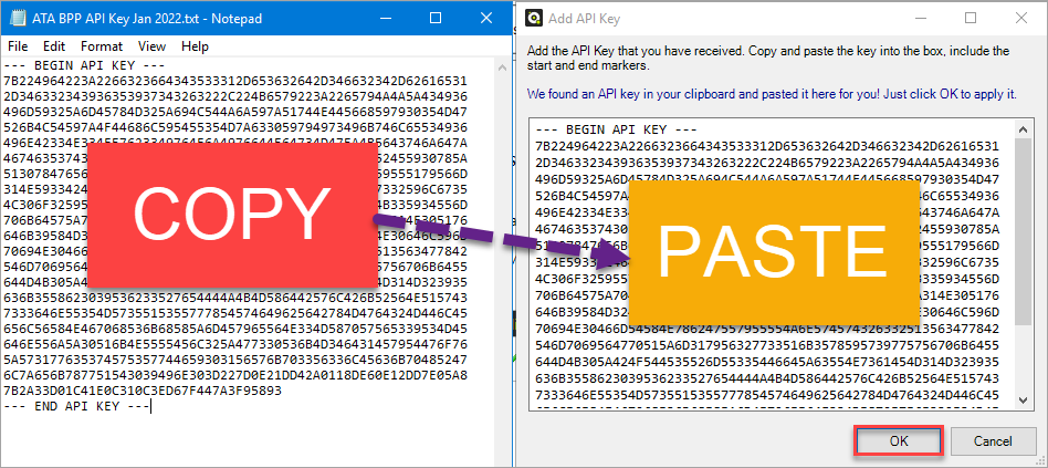 Copying the API key 