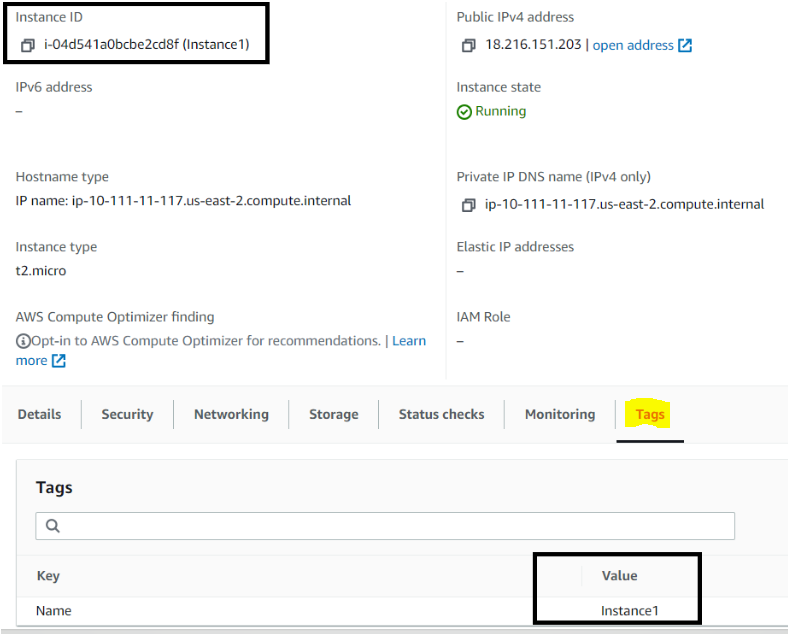 Verifying the tags in the AWS account for the AWS EC2 instance.