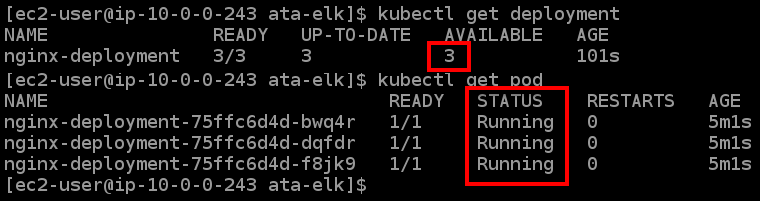 Checking the status of the NGINX deployment and pods