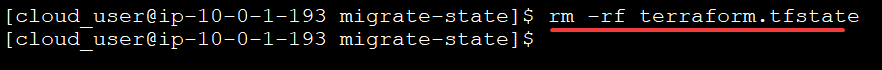 deleting the existing state file