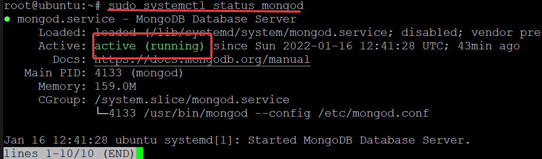 Viewing MongoDB Service Status