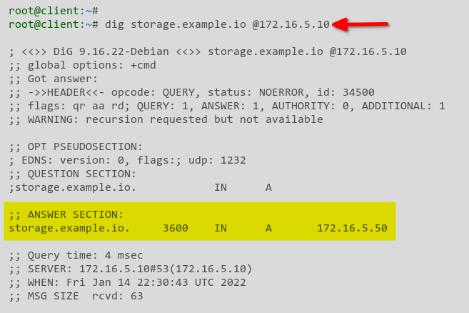 Verifying the storage.example.io subdomain