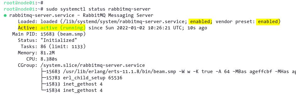 Checking RabbitMQ service status 